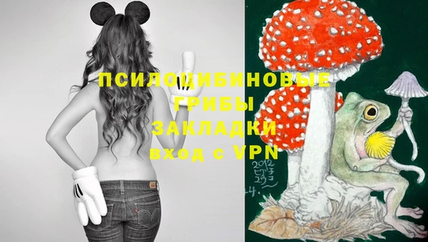 скорость Нягань